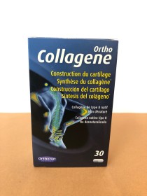 ortho collagene