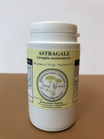 astragale