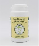 Boswellia serrata titré à 65 % Encens extrait