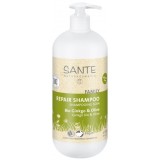 shampooing soin bio gingko olive