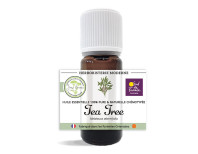 huile essentielle herboristerie moderne tea tree