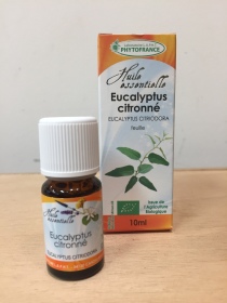 eucalyptus citronné 10