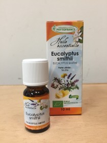eucalyptus smithii