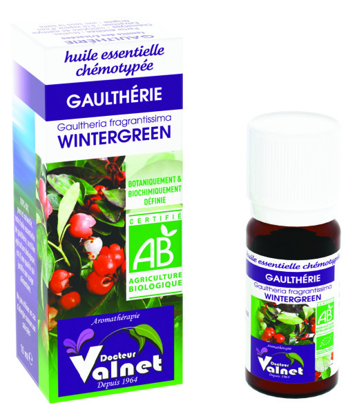 Huile essentielle Gaulthérie odorante Bio HECT 10ml achat vente
