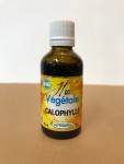 calophylle 50 ml