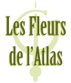 Les Fleurs de l'Atlas Logo