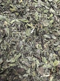 menthe douce feuilles extra pour tisanes thé vert à la menthe